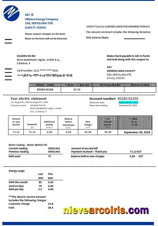 Kazakhstan Alliance Energy Company (AEC) business utility bill
